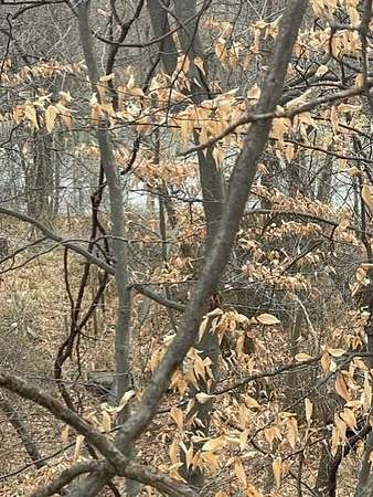 1.5 Acres of Land for Sale in Coloma, Michigan