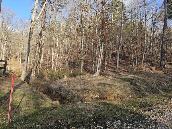 15.5 Acres of Land for Sale in Newport, Tennessee