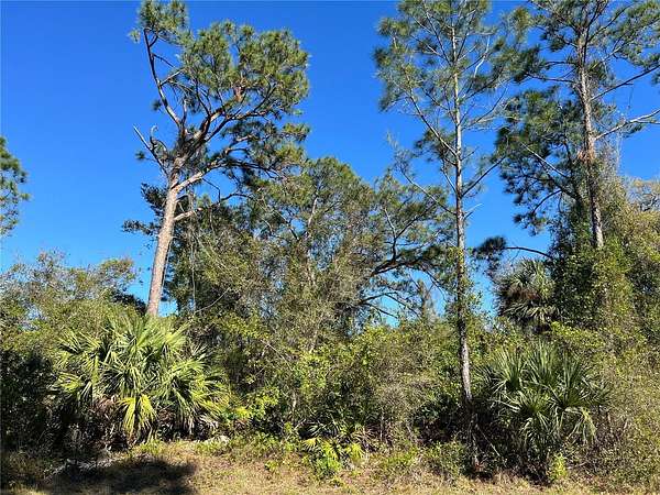 0.23 Acres of Residential Land for Sale in North Port, Florida