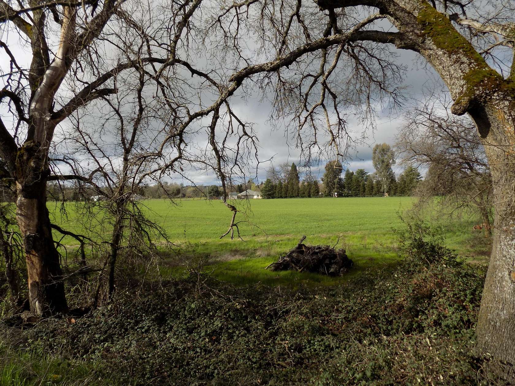 2 Acres of Commercial Land for Sale in Redding, California