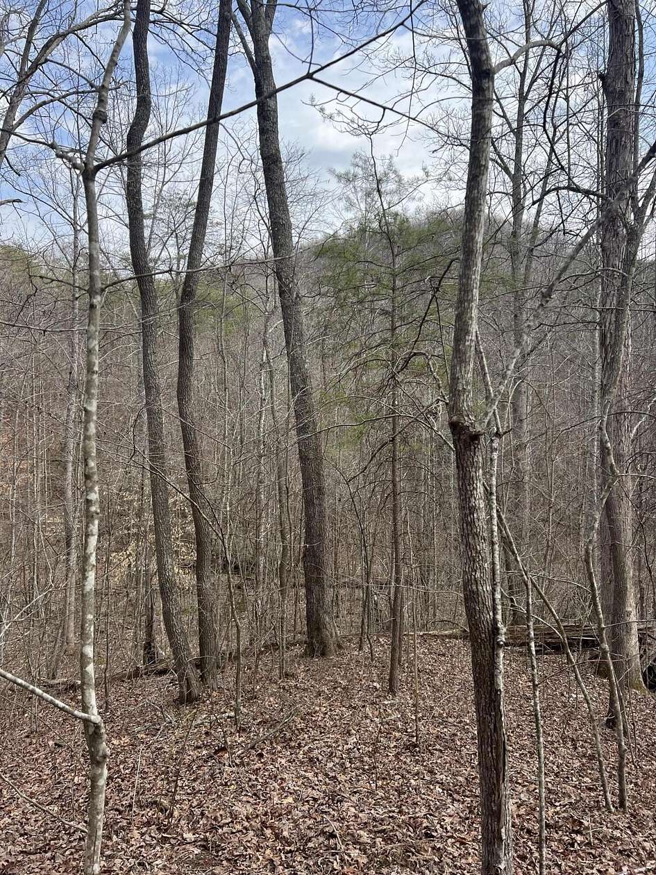 481 Acres of Recreational Land for Sale in Waco, Kentucky