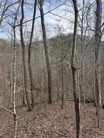 481 Acres of Recreational Land for Sale in Waco, Kentucky