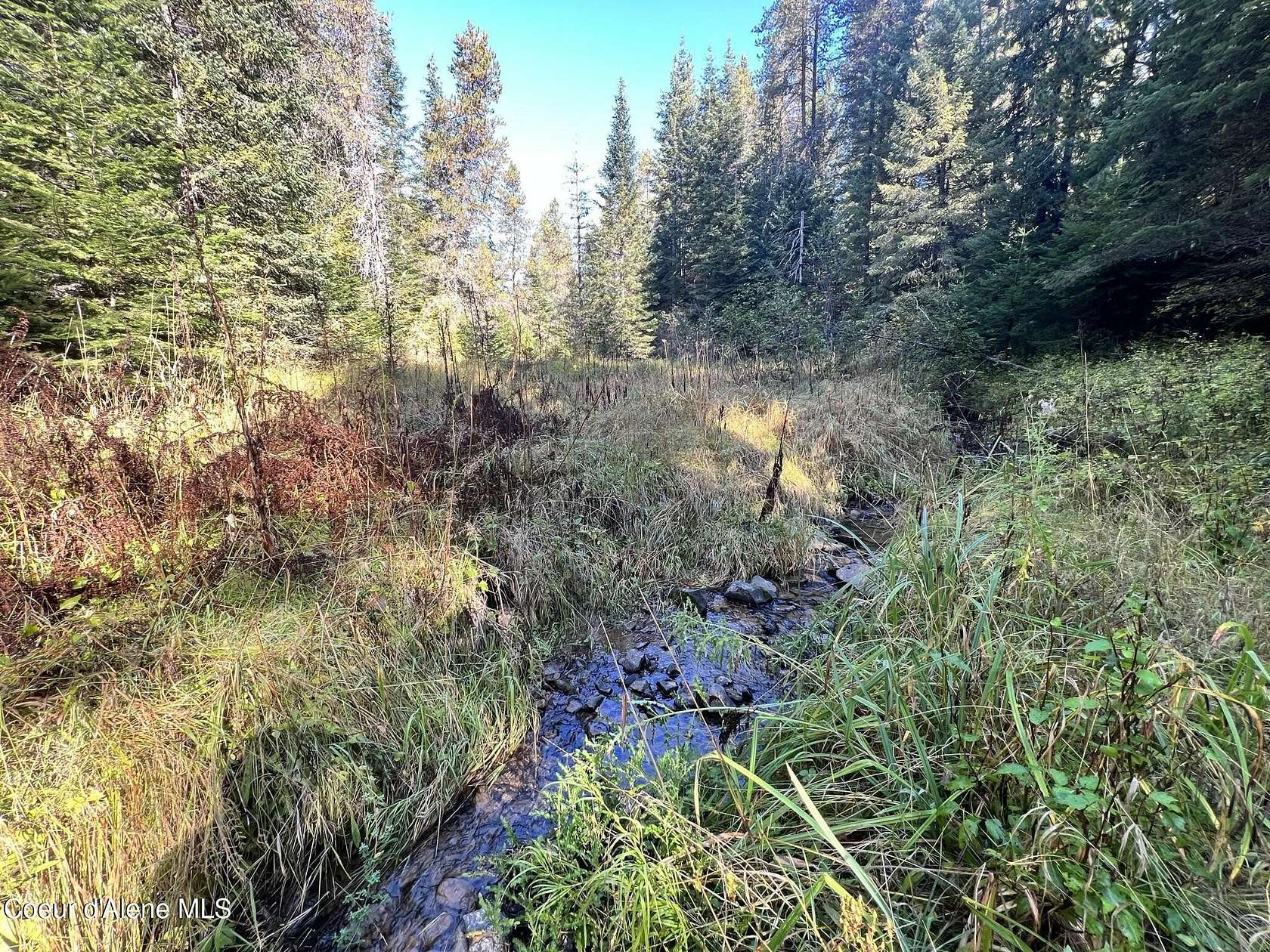 10 Acres of Land for Sale in St. Maries, Idaho