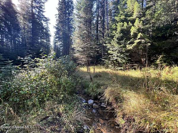 10 Acres of Land for Sale in St. Maries, Idaho
