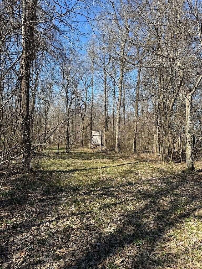 40 Acres of Recreational Land for Sale in Batesville, Mississippi
