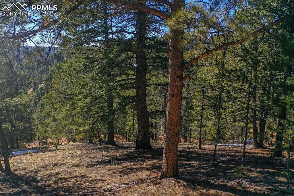 0.65 Acres of Residential Land for Sale in Divide, Colorado