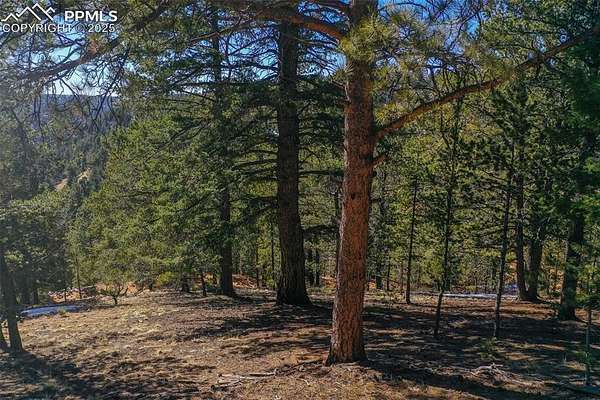 0.65 Acres of Residential Land for Sale in Divide, Colorado
