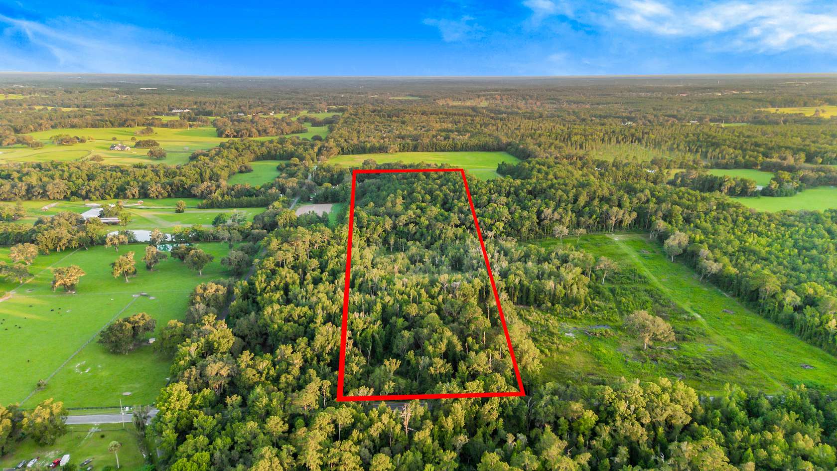 18.5 Acres of Land for Sale in Micanopy, Florida