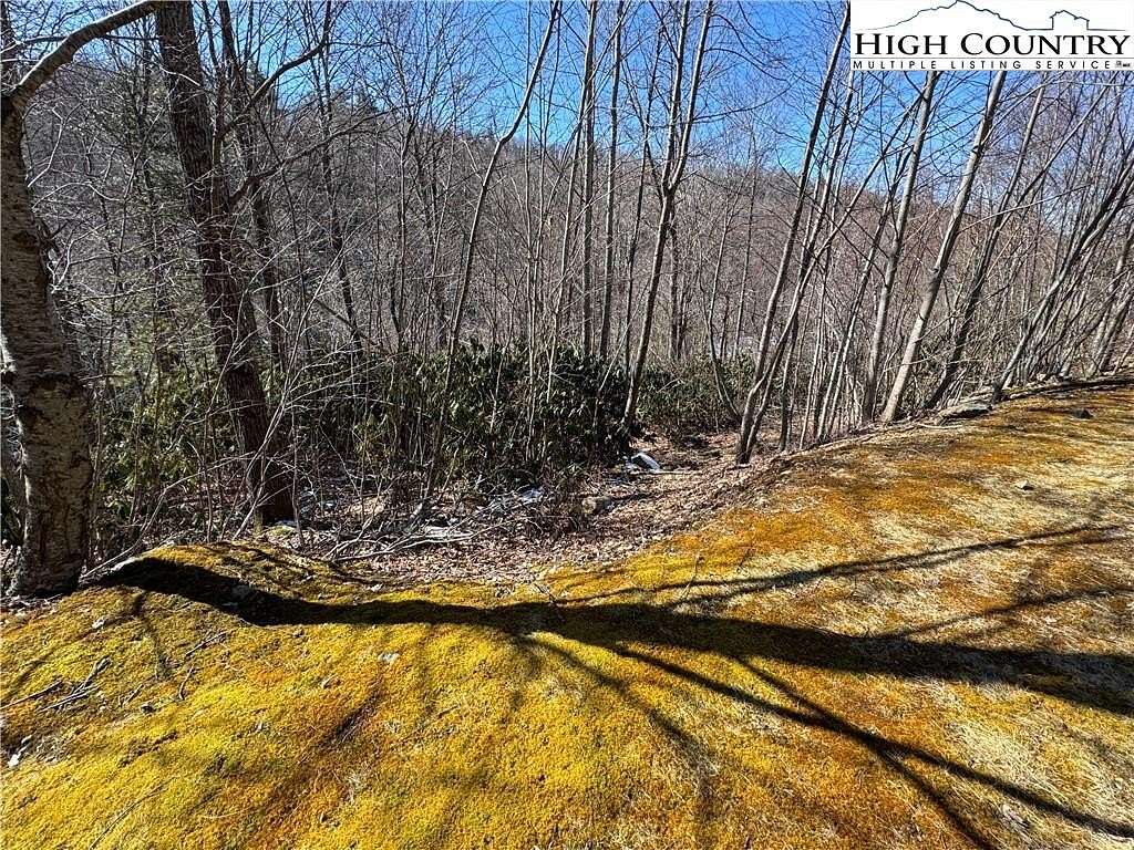 1.1 Acres of Land for Sale in Elk Park, North Carolina