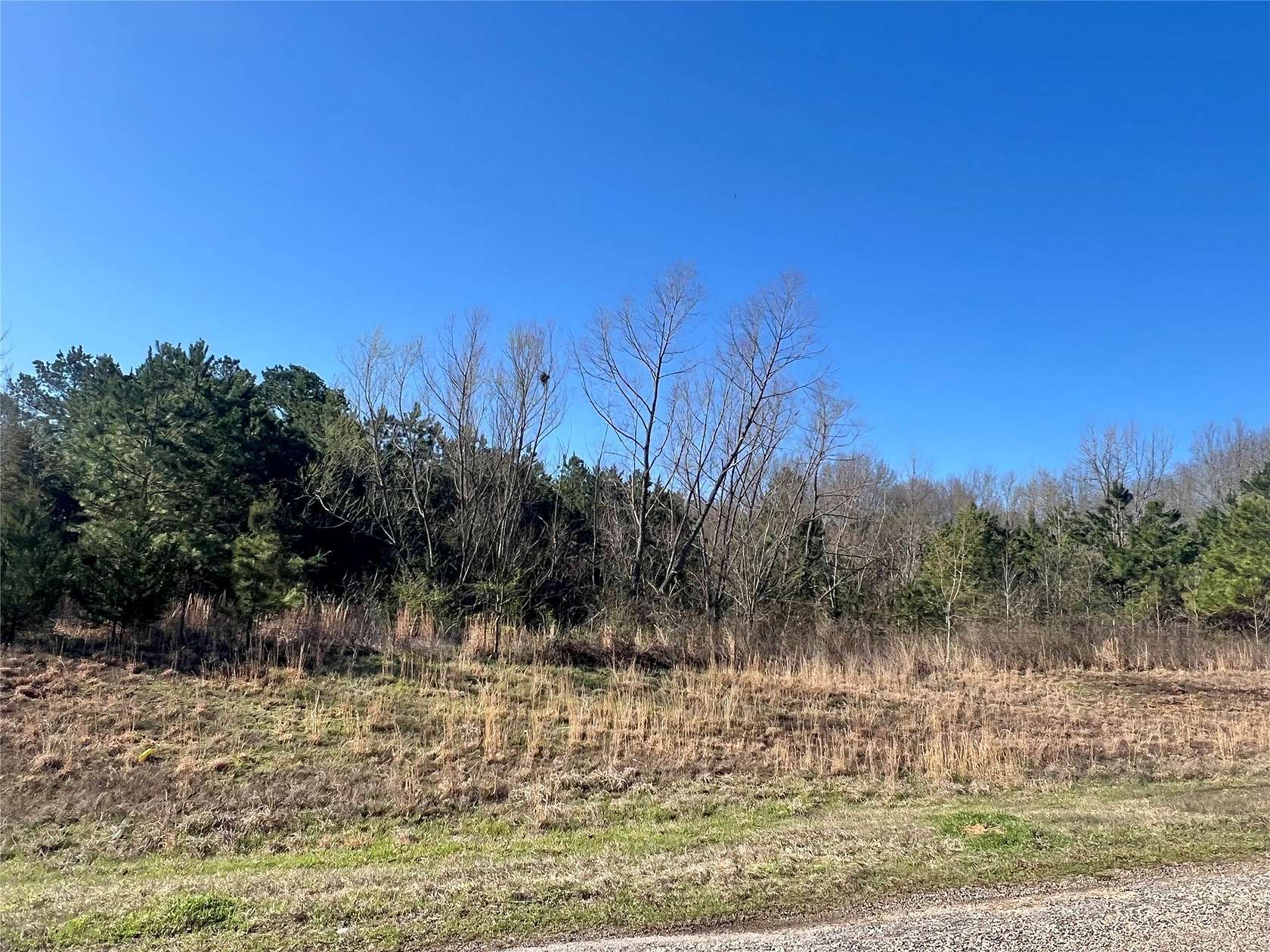 53 Acres of Recreational Land for Sale in Mount Pleasant, Texas