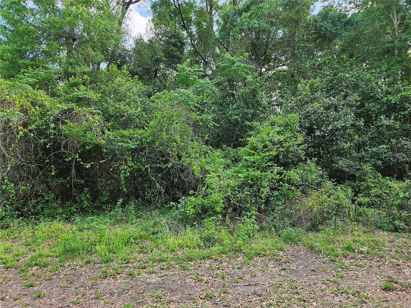 0.22 Acres of Residential Land for Sale in Summerfield, Florida