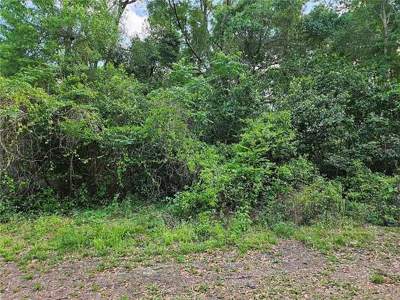 0.22 Acres of Residential Land for Sale in Summerfield, Florida