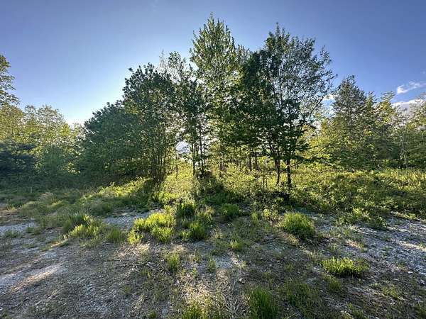 48.2 Acres of Recreational Land for Sale in Casco, Maine