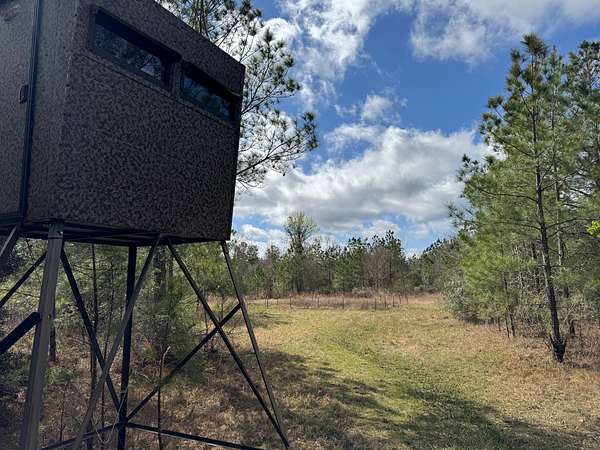 156 Acres of Mixed-Use Land for Sale in Forest Hill, Louisiana