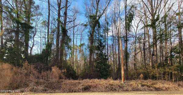 0.45 Acres of Residential Land for Sale in Grifton, North Carolina