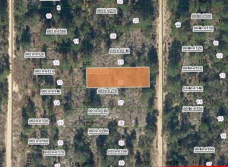 0.22 Acres of Residential Land for Sale in Interlachen, Florida