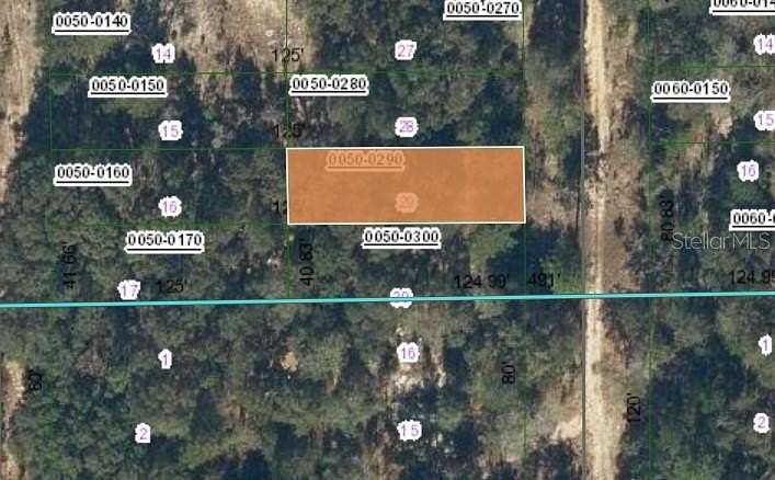 0.22 Acres of Residential Land for Sale in Interlachen, Florida
