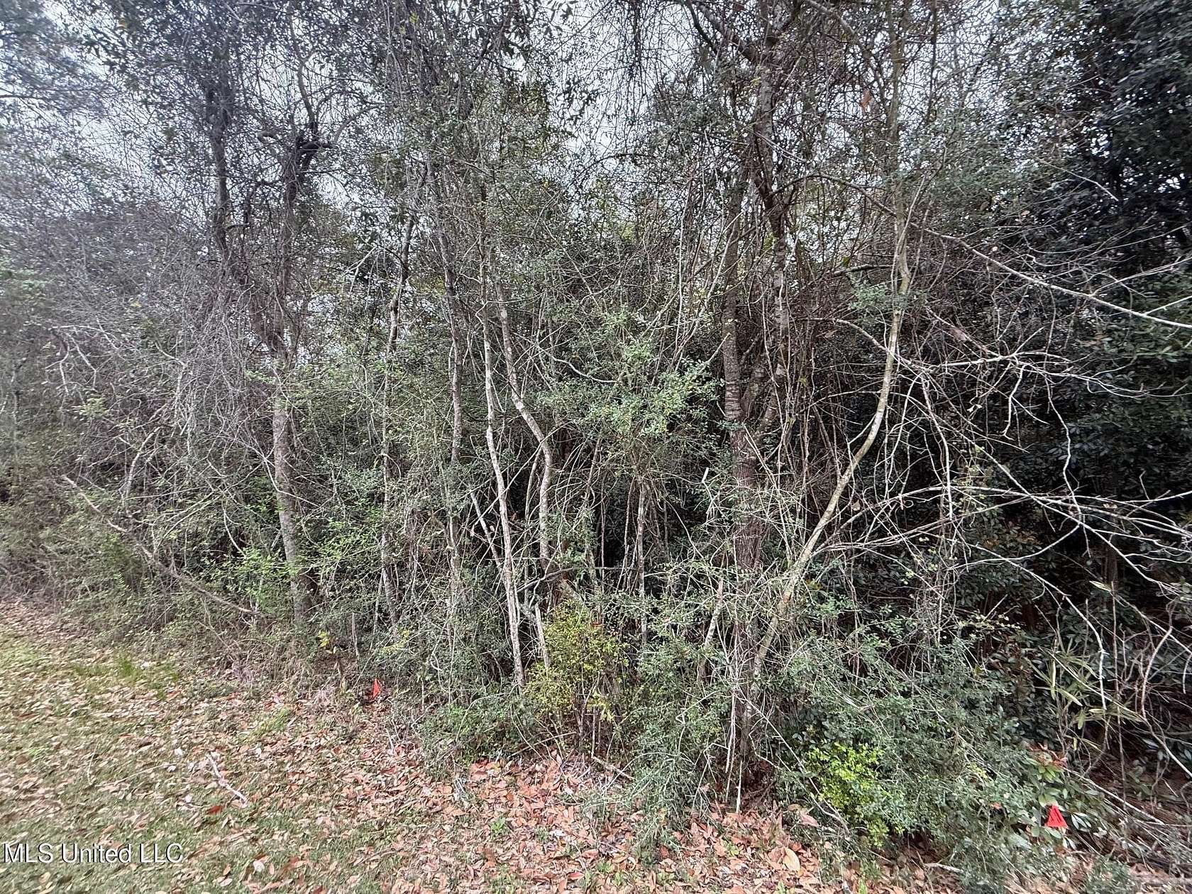 0.22 Acres of Residential Land for Sale in Diamondhead, Mississippi