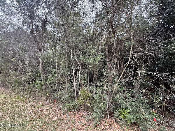 0.22 Acres of Residential Land for Sale in Diamondhead, Mississippi