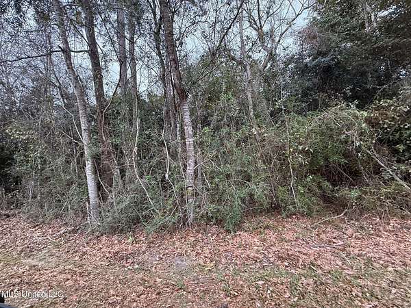 0.23 Acres of Residential Land for Sale in Diamondhead, Mississippi