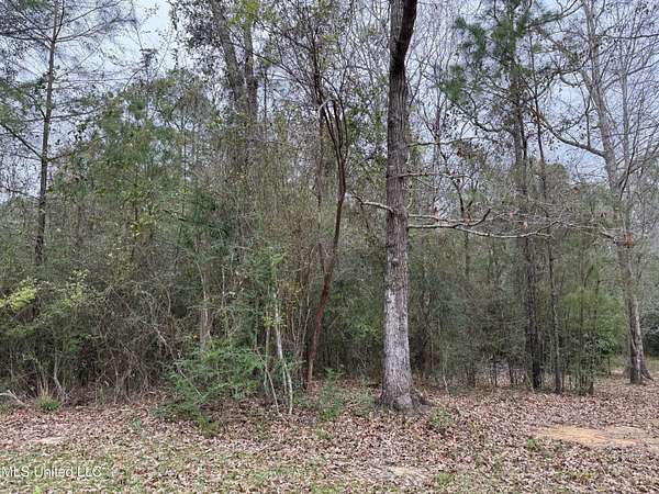 0.24 Acres of Residential Land for Sale in Diamondhead, Mississippi