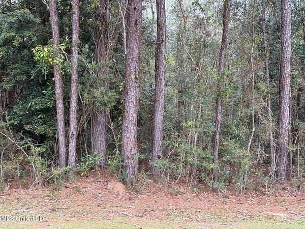 0.22 Acres of Residential Land for Sale in Diamondhead, Mississippi