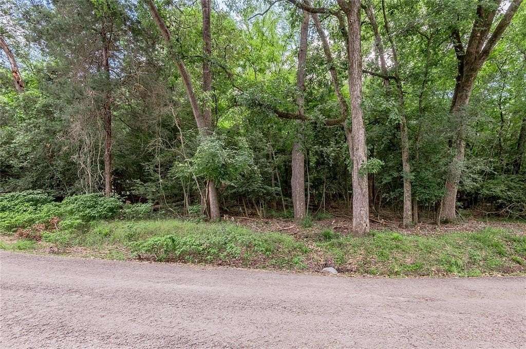 0.26 Acres of Land for Sale in Grapeland, Texas