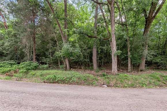 0.26 Acres of Land for Sale in Grapeland, Texas