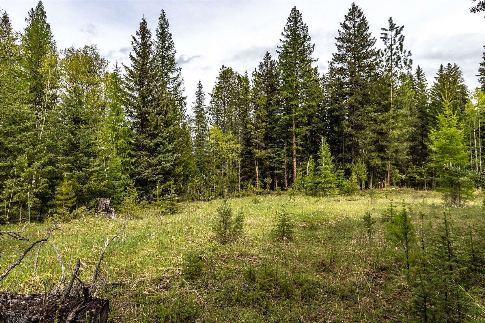 6.64 Acres of Residential Land for Sale in Fortine, Montana