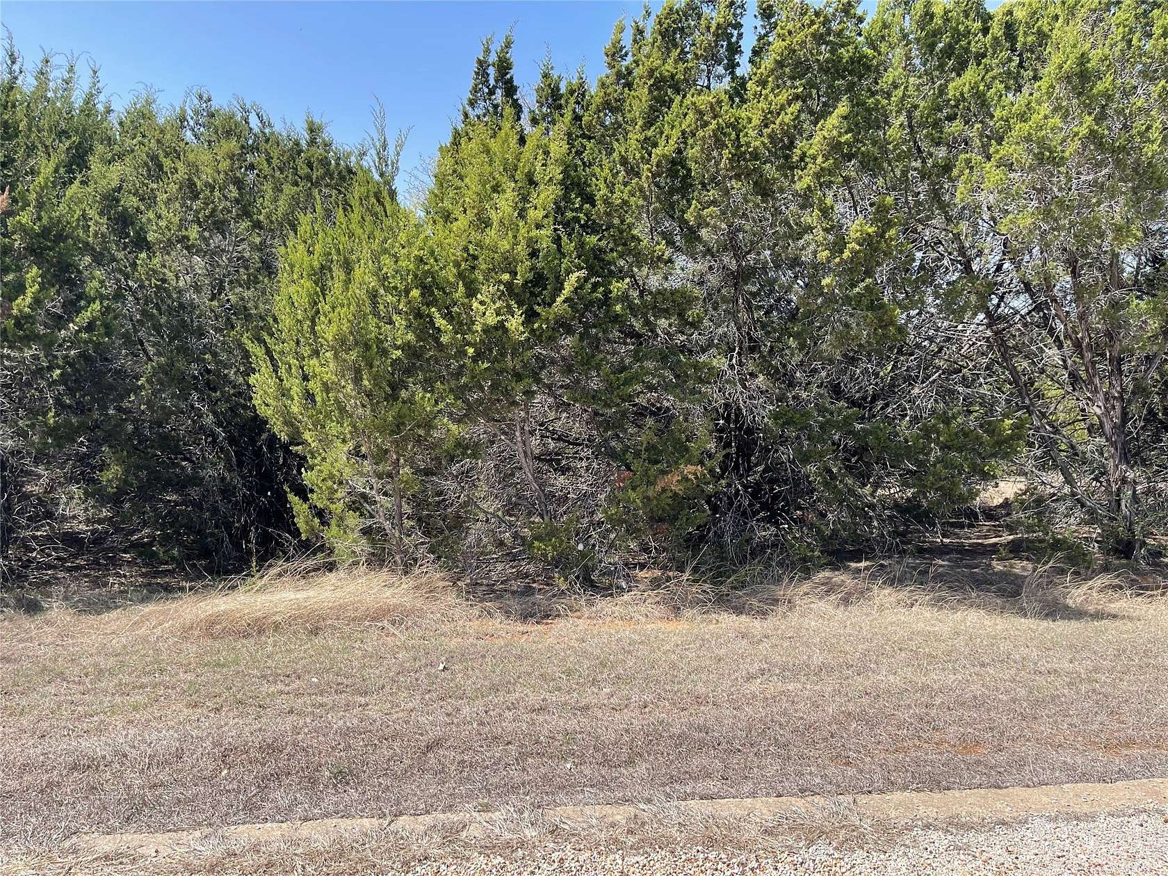 0.27 Acres of Residential Land for Sale in Whitney, Texas