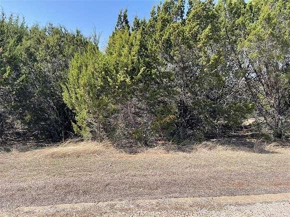 0.27 Acres of Residential Land for Sale in Whitney, Texas