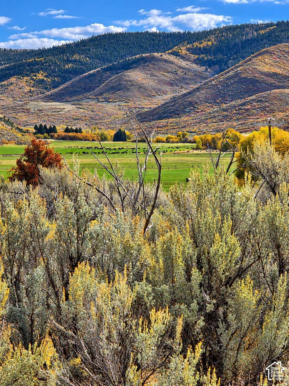 8.89 Acres of Land for Sale in Heber City, Utah