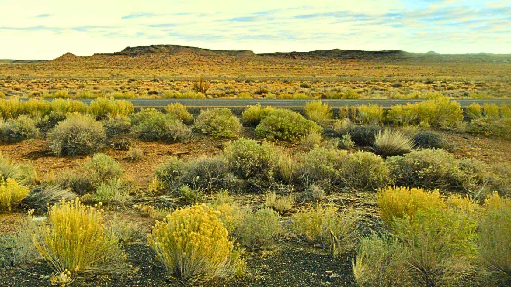 0.24 Acres of Residential Land for Sale in Navajo, Arizona