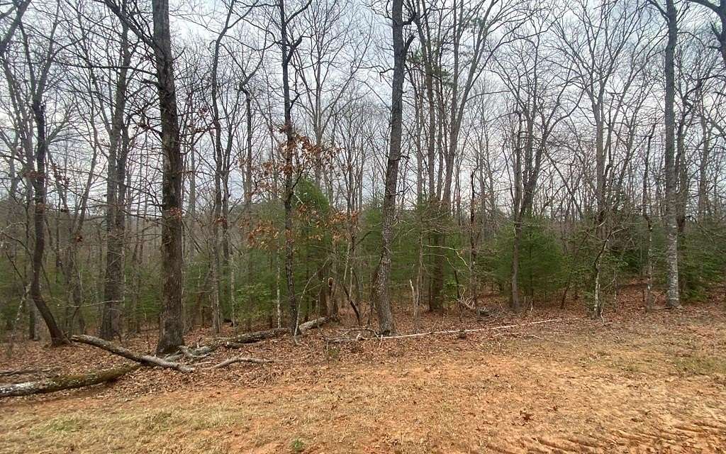 6.6 Acres of Residential Land for Sale in Blairsville, Georgia
