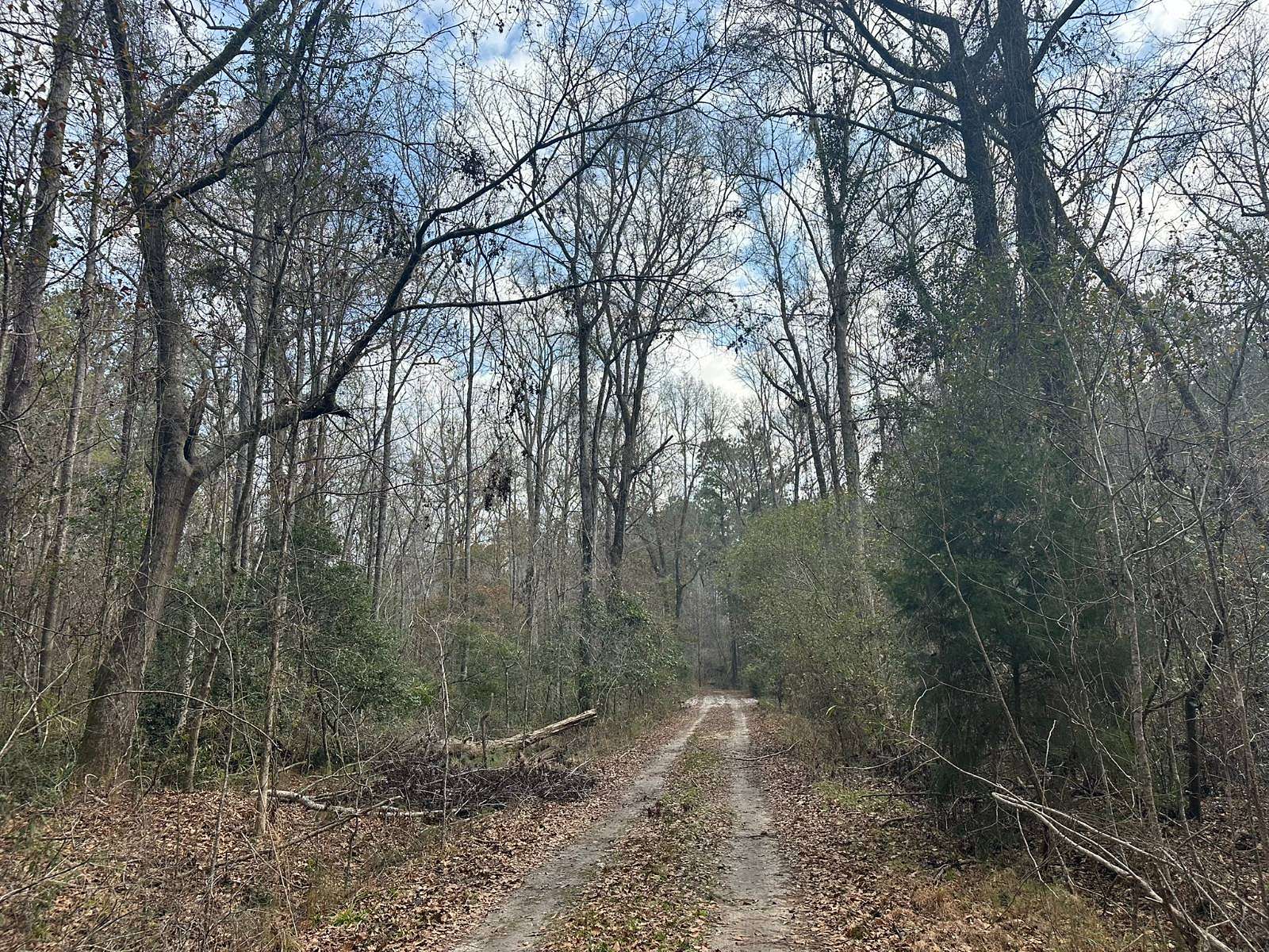 736 Acres of Recreational Land for Sale in Ehrhardt, South Carolina