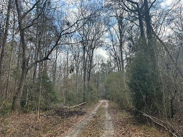 736 Acres of Recreational Land for Sale in Ehrhardt, South Carolina