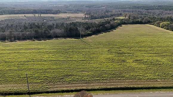 7.7 Acres of Residential Land for Sale in Headland, Alabama