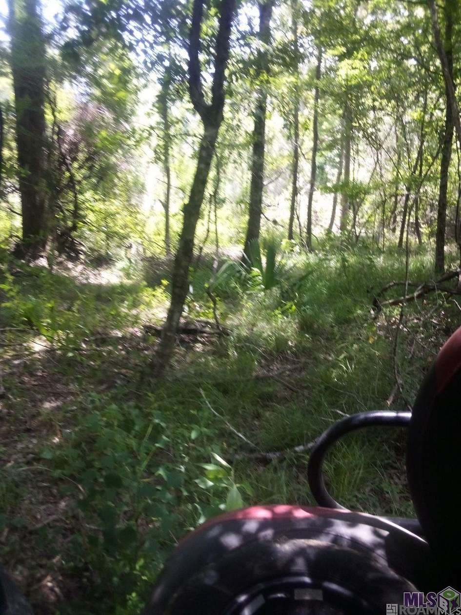 10 Acres of Land for Sale in Walker, Louisiana