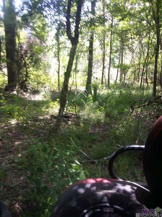 10 Acres of Land for Sale in Walker, Louisiana