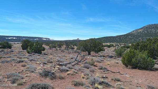 44.6 Acres of Recreational Land for Sale in Concho, Arizona