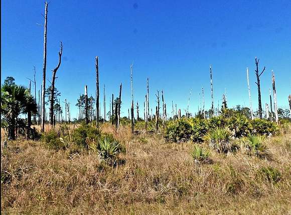 0.21 Acres of Residential Land for Sale in North Port, Florida