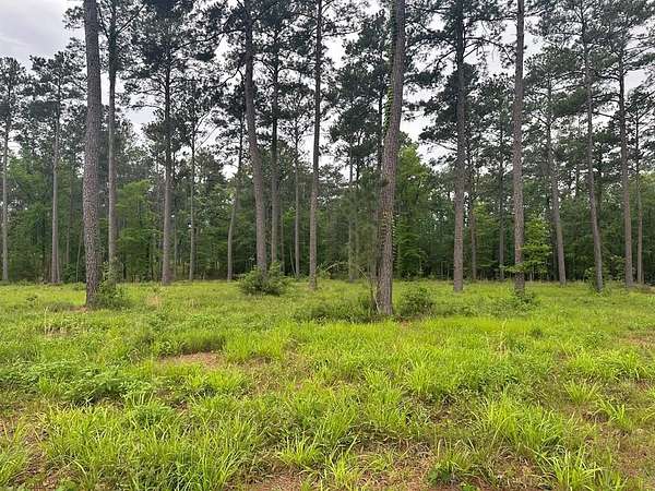 1 Acre of Land for Sale in Brookeland, Texas