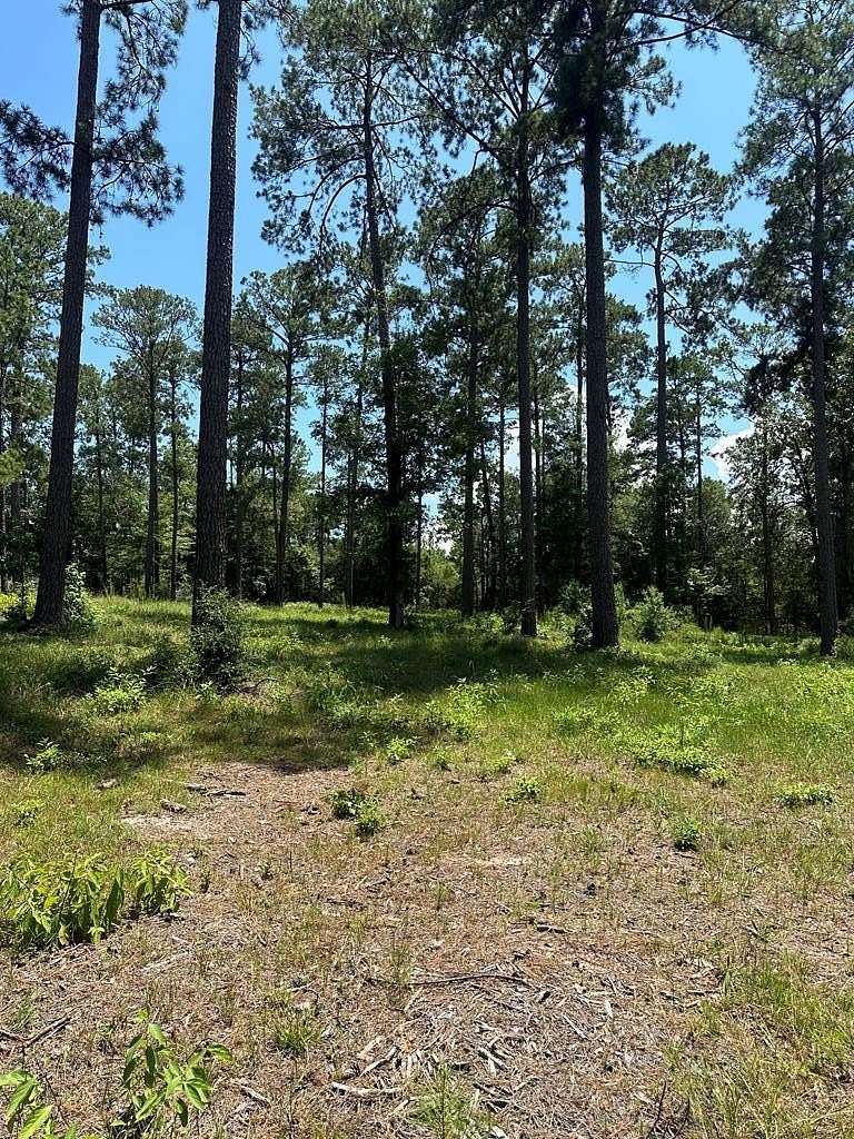 1 Acre of Land for Sale in Brookeland, Texas