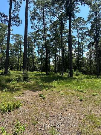1 Acre of Land for Sale in Brookeland, Texas