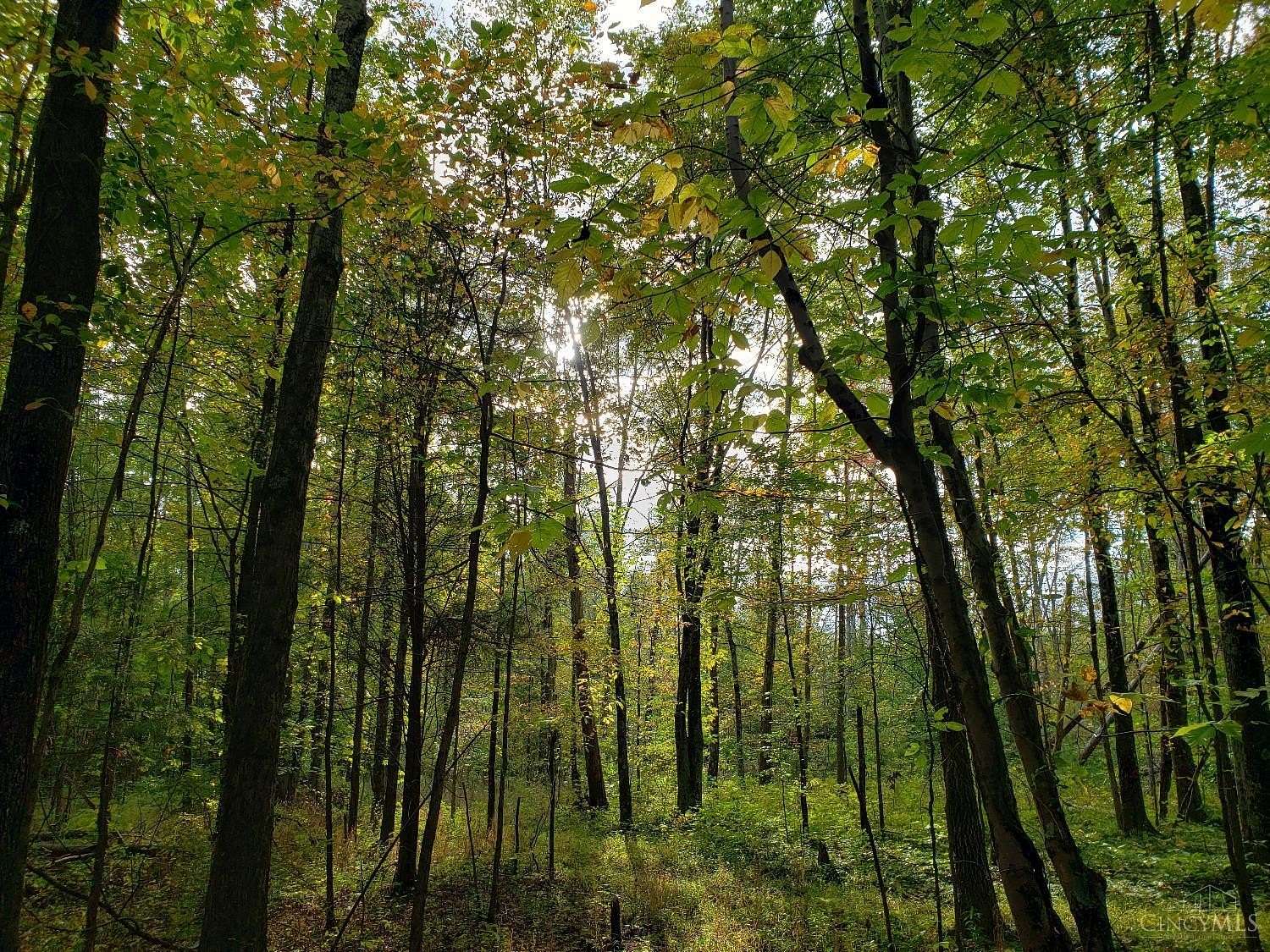 13.6 Acres of Land for Sale in Tate Township, Ohio