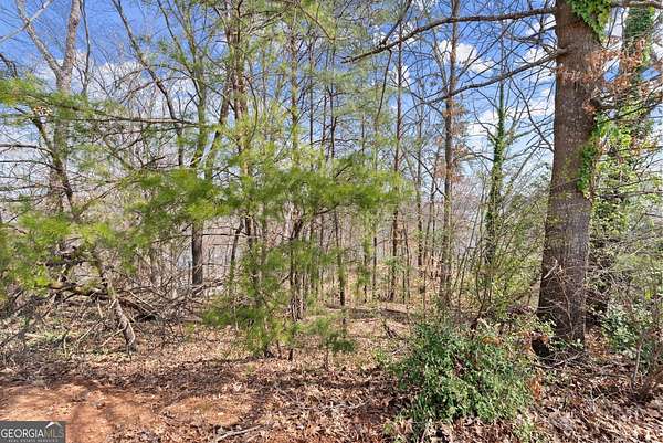 0.71 Acres of Land for Sale in Gainesville, Georgia