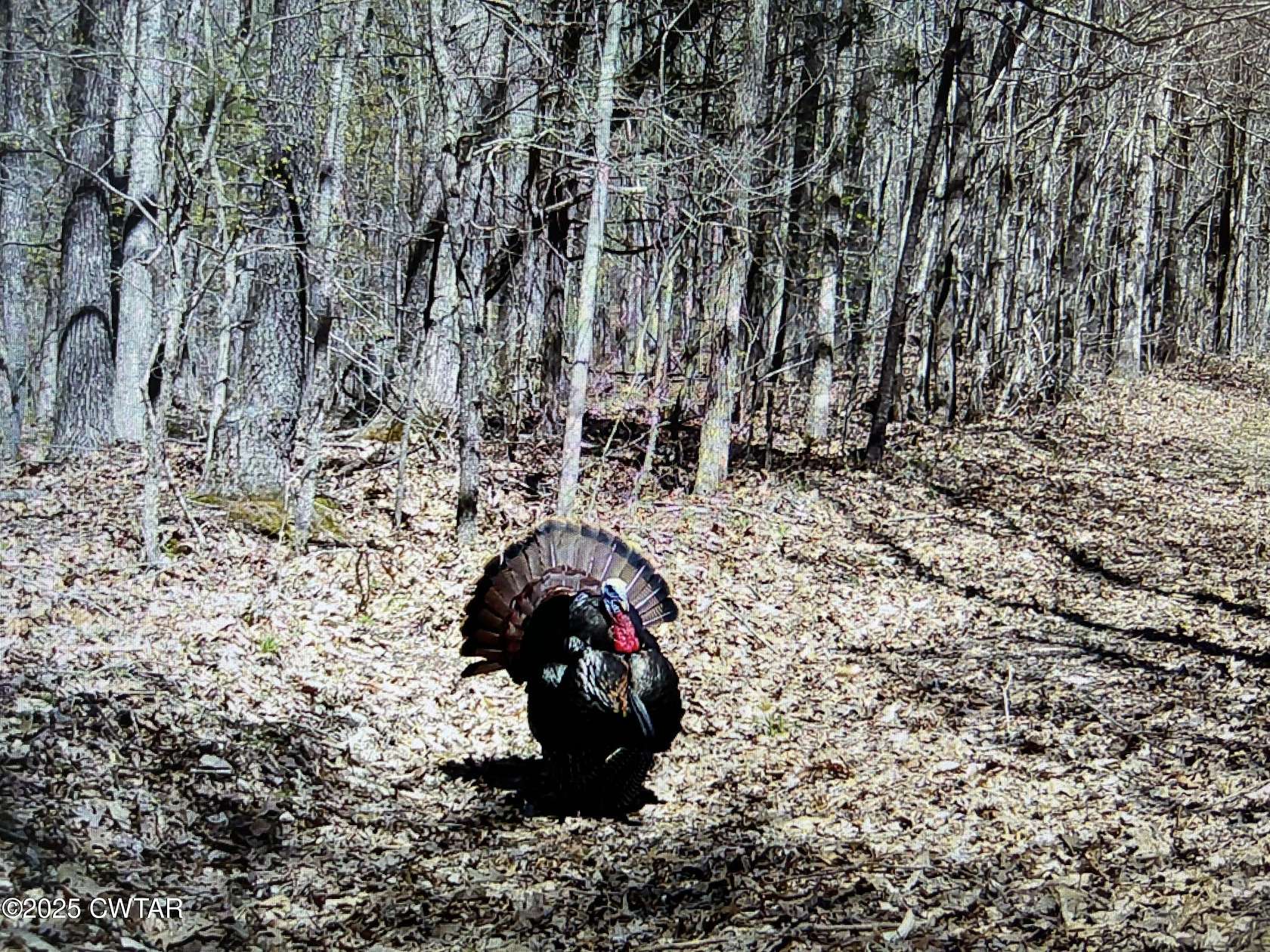 10.2 Acres of Recreational Land for Sale in Medon, Tennessee