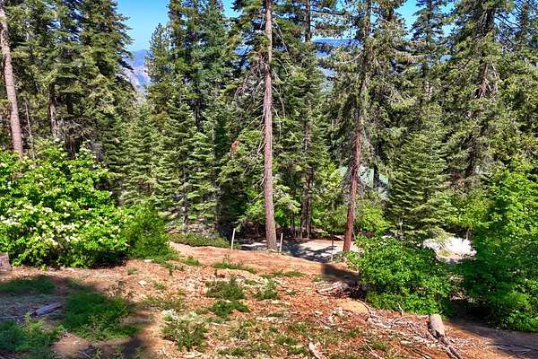 0.5 Acres of Residential Land for Sale in Yosemite West, California