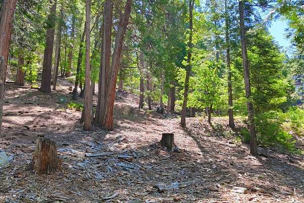 0.25 Acres of Residential Land for Sale in Yosemite West, California