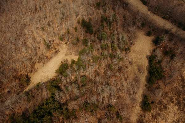 23 Acres of Agricultural Land for Sale in Wellington, Kentucky